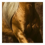 Golden Boy I (detail no. 5)