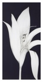 Buy Cycle Upright at AllPosters.com