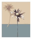 Buy Simplicity II at AllPosters.com