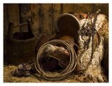 In The Tack Room