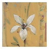 Buy Camillo at AllPosters.com