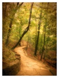 Buy Emerald Path at AllPosters.com