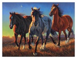 Buy Blue Roan Ridge at AllPosters.com