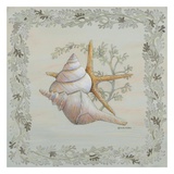 Buy Pastel Shell II at AllPosters.com