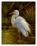 Tropical Egret II
