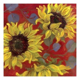 Sunflower II