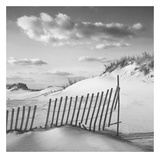 Buy Color of Dreams at AllPosters.com