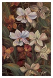 Buy Orchids I at AllPosters.com