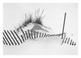 Snowfence