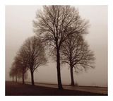 Silhouttes in Sepia I