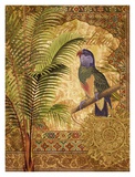 Paradisus II