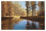 Autumn Creek