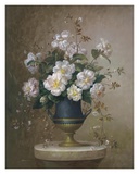 Delicate Petals