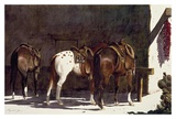 Buy Waiting to Hit the Trail at AllPosters.com