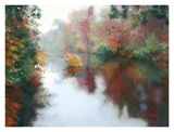 Buy Branch on the Charles at AllPosters.com