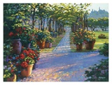 Buy Siena Arbor at AllPosters.com