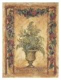 Buy Natura Paragon at AllPosters.com
