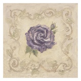 Rosier de Lavendre