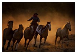 Buy Trail Blazers at AllPosters.com