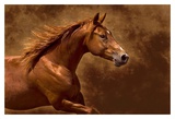 Buy Little Ruby at AllPosters.com