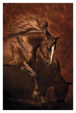 Buy Horse Dancer at AllPosters.com