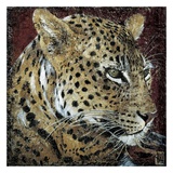 Portrait de Leopard