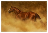 Buy Out of the Dust at AllPosters.com