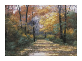 Autumn Road