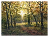 Late Summer Walk