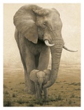Momma's Boy
