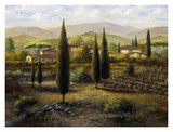 Osteria