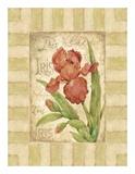Belle Fleur II