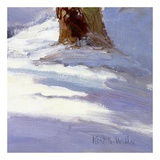 Buy Majestic Winter (detail no. 2) at AllPosters.com