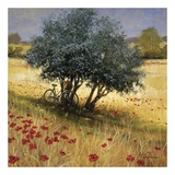 Buy Under the Tree at AllPosters.com