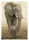 Momma's Boy