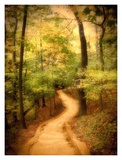 Buy Enchanted Forest at AllPosters.com