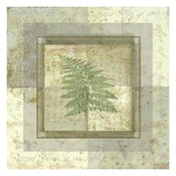 Buy Leaf Carre II at AllPosters.com