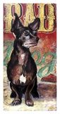 Bad Dog
