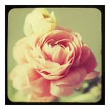 Vintage Botanical III