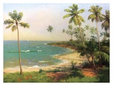 Tropical Coastline Art Print