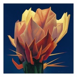 Buy Desert Flame at AllPosters.com