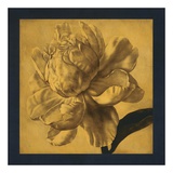 Buy Harmonious Joy at AllPosters.com