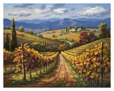 Vineyard Hill II