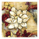 Lotus Botanical IV