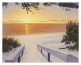 Evening Sunset
