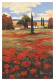Castigliani II