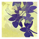 Buy Orchid Shadows I at AllPosters.com