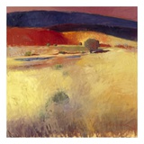 Buy New Mexico XIV at AllPosters.com