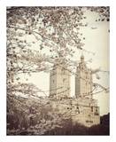 Buy When Spring Came to Town at AllPosters.com