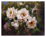 Full Blossom II